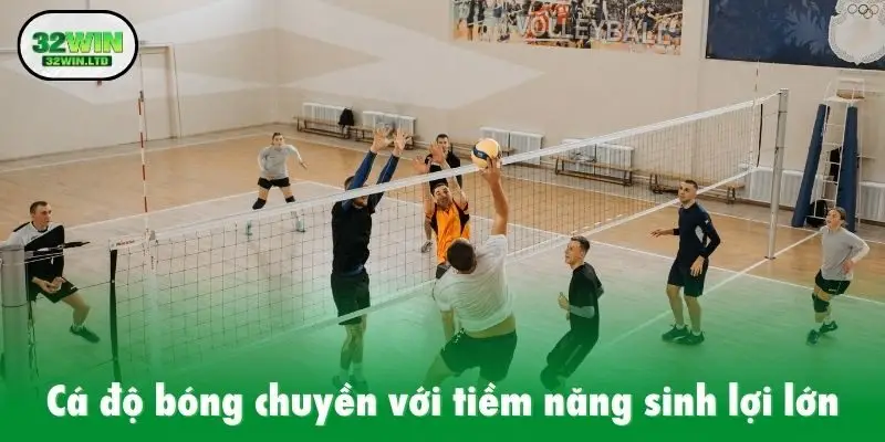 Cá độ bóng chuyền với tiềm năng sinh lợi lớn