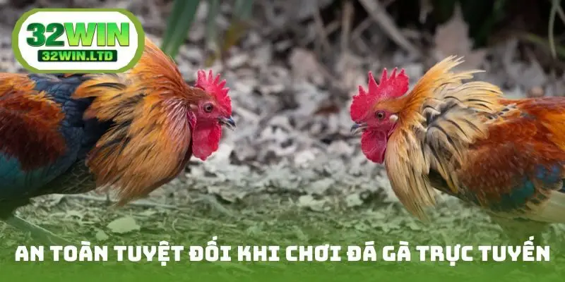 An toàn tuyệt đối khi chơi đá gà trực tuyến