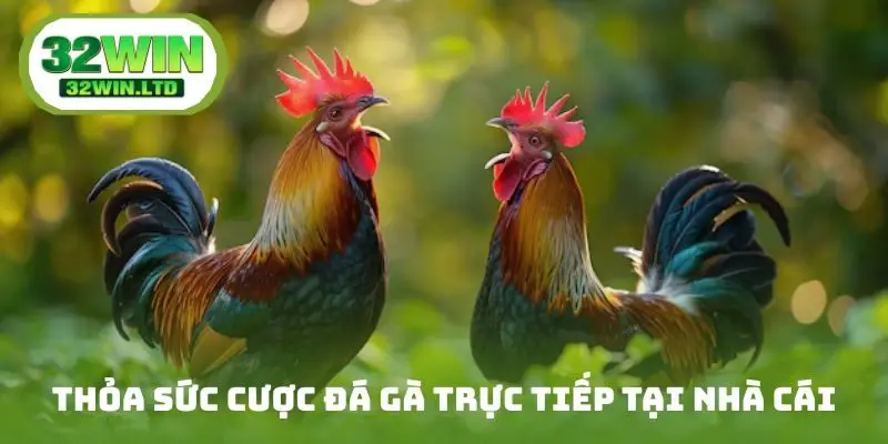 Thỏa sức cược đá gà online tại nhà cái
