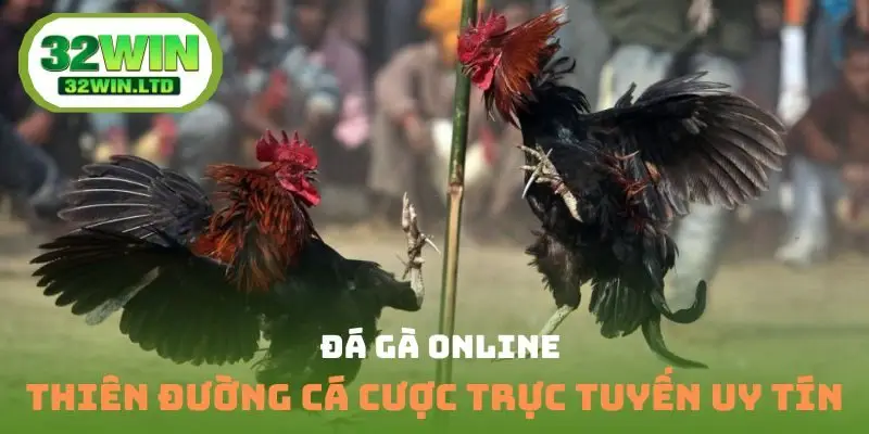 đá gà online