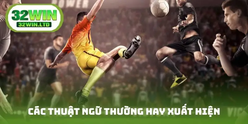 Các thuật ngữ thường hay xuất hiện