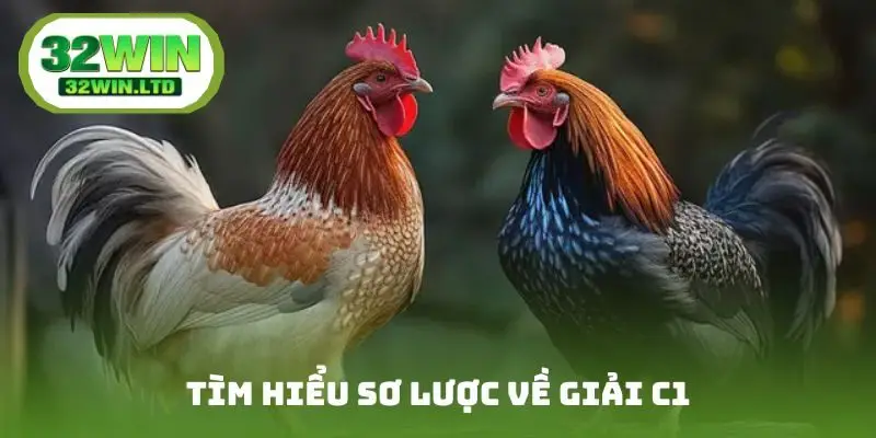Tìm hiểu sơ lược về luật chơi đá gà C1