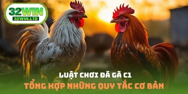 luật chơi đá gà C1