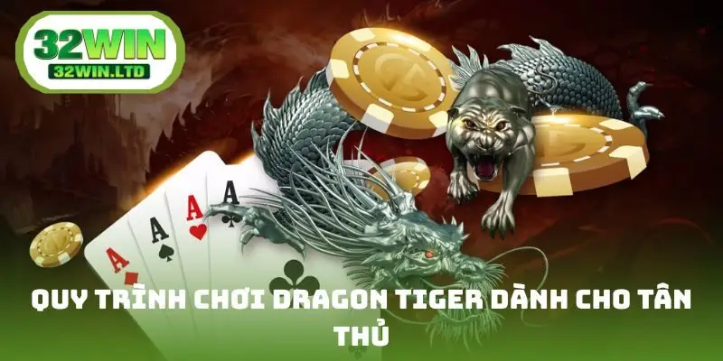 Quy trình chơi Dragon Tiger dành cho tân thủ