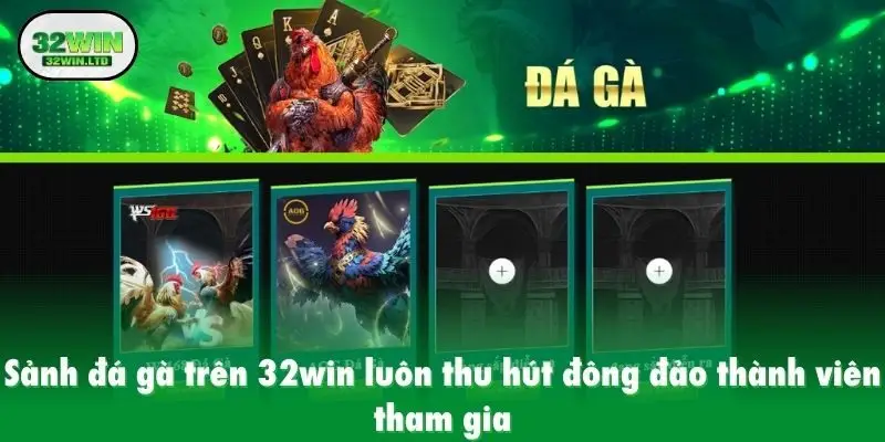 Sảnh đá gà trên 32win luôn thu hút đông đảo thành viên tham gia